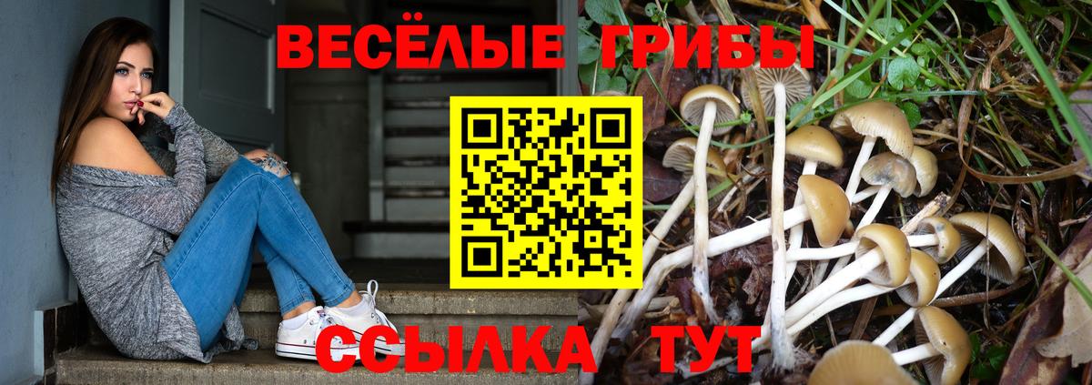 Галлюциногенные грибы Magic Shrooms  Вход с VPN  Псилоцибиновые грибы MAGIC MUSHROOMS  Тобольск 